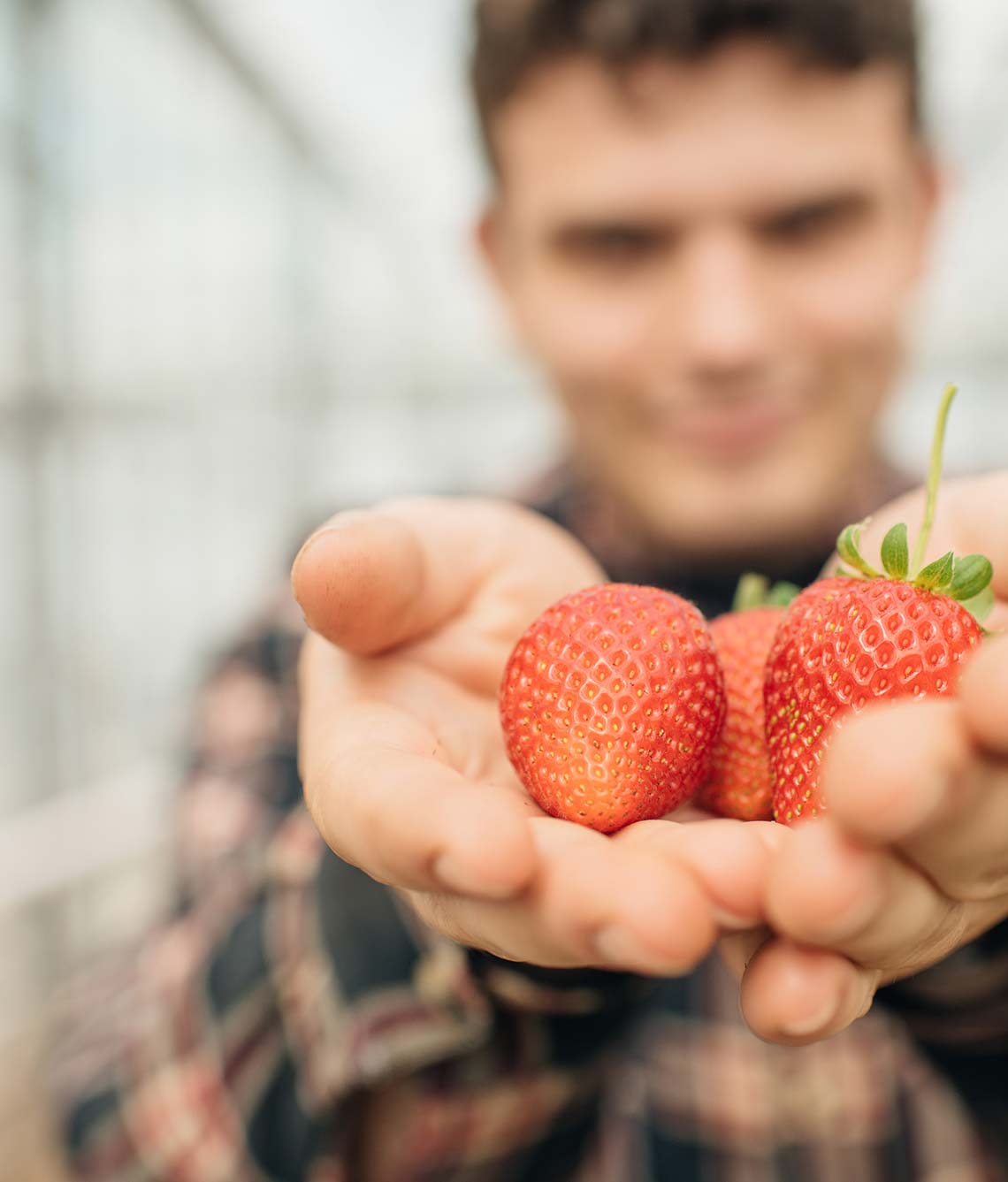 Learn the latest berry growing techniques