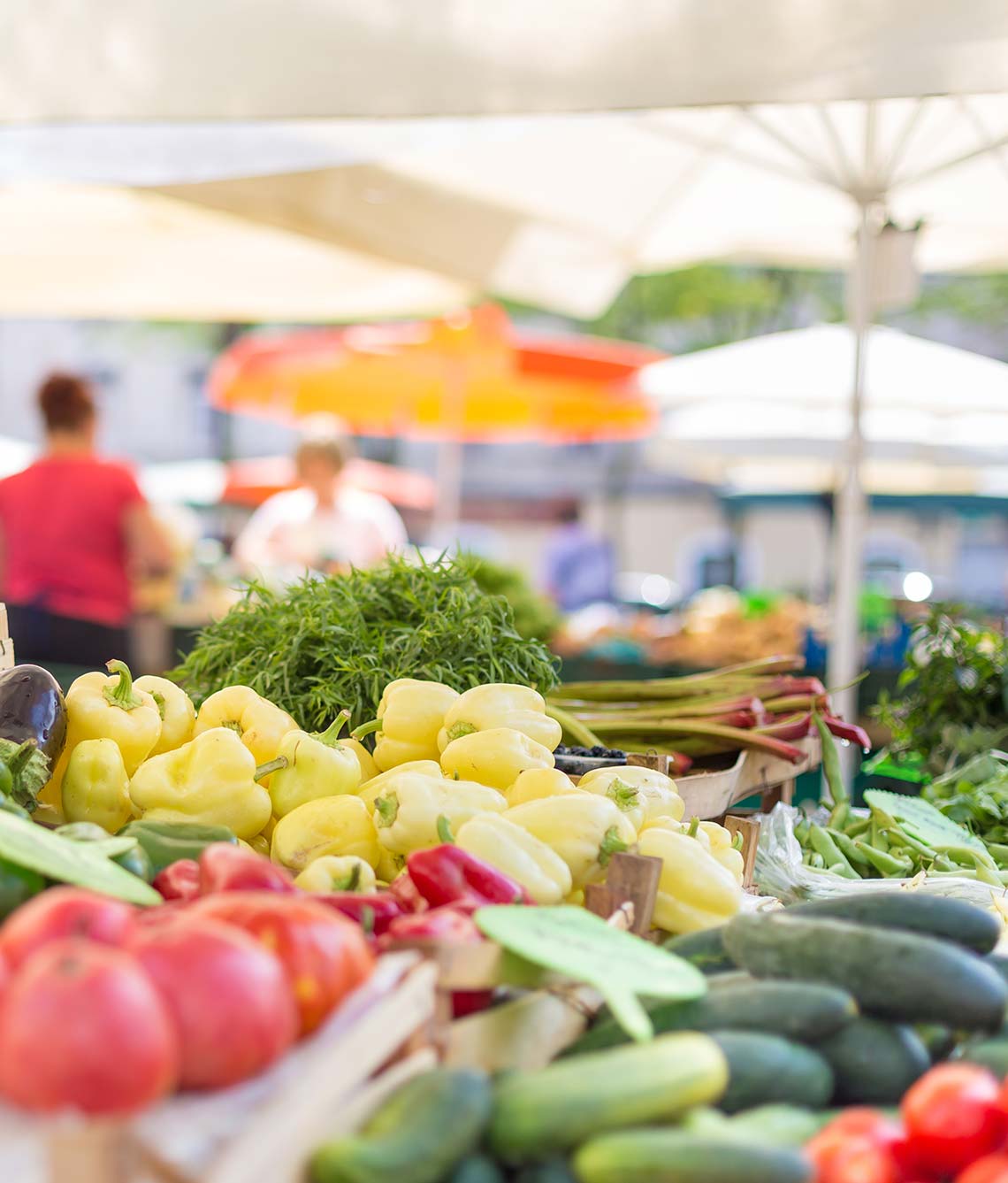 Grow and harvest vegetables for profit