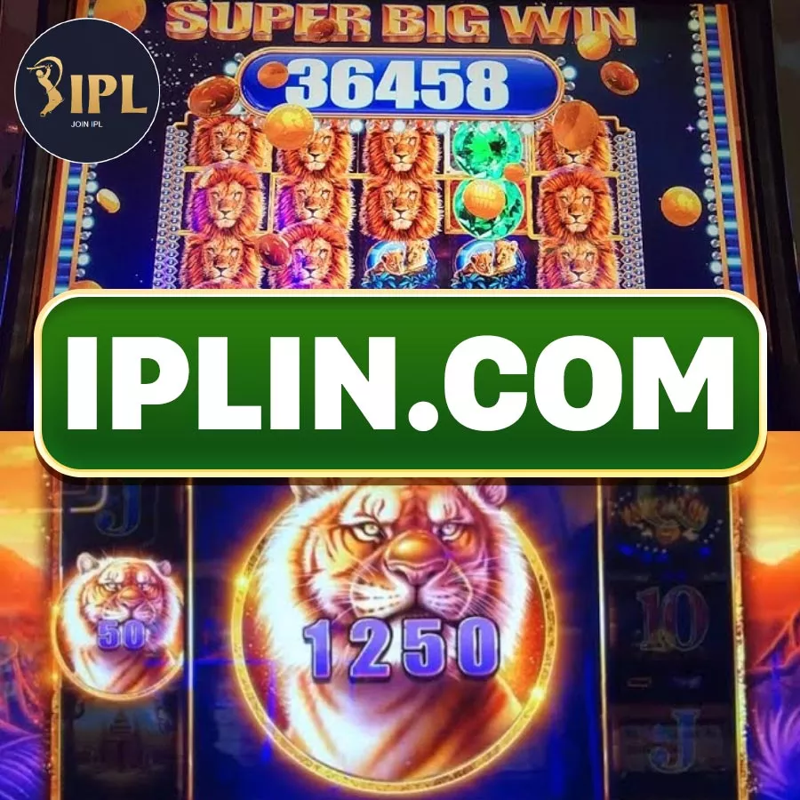 Baji Live Net Casino